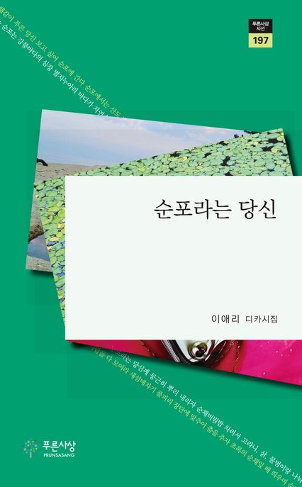 순포라는당신:이애리디카시집