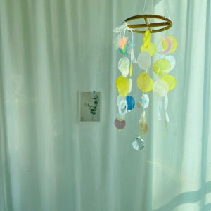 망고스무디, 꼼실꼼실