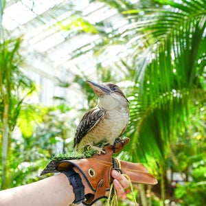 가평 베고니아 새정원 할인 입장권 남양주 실내 이색 데이트 2인