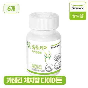 슬림케어 6병 <b>녹차추출물</b> 카테킨 체지방 다이어트