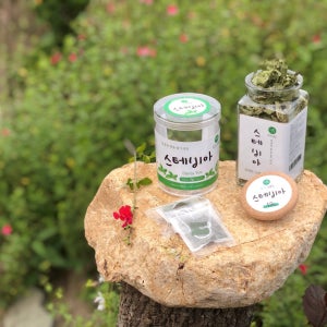 직접 재배한 0칼로리 수제 스테비아 허브티 🌱 티백차, 허브스팜
