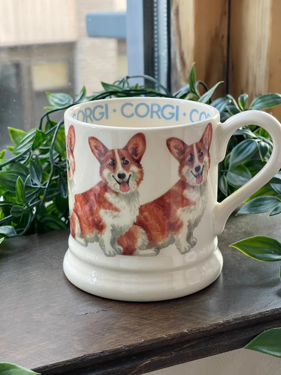 Welsh Corgi Pembroke (웰시 코기 펨브로크)