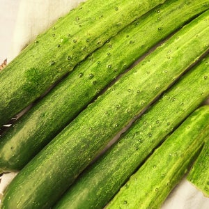 아삭아삭 수분 가득 백 오이 4kg(20-24개입)