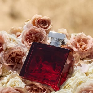 [폴로랄프로렌 퍼퓸] 로망스 인텐스 EDP 100ML 5004816084