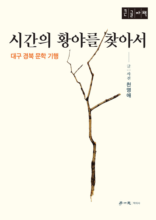 시간의 황야를 찾아서 (큰글자책) (대구 경북 문학 기행)