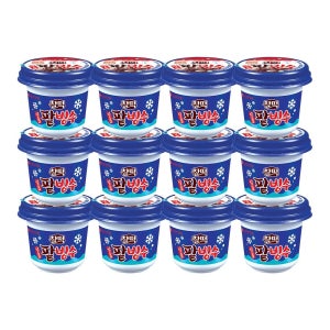 롯데웰푸드 찰떡 일품 팥빙수 아이스크림 240ml X12개