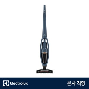 일렉트로룩스 WQ61-1EDB 셀프스탠딩 투인원 WellQ6 무선청소기