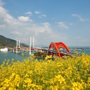 곡성군 4일 곡성여행코스 순천만습지 곡성가볼만한곳 여수가볼만한곳