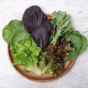 싱싱한 유기농 쌈채소 600g 1kg