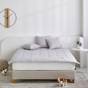 [롯데백화점] 헤지스 홈 양모 홀트 그레이 패드 킹 LE1218051156