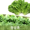 청상추2kg