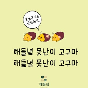 [25년 햇고구마] 못난이 해들녘 고창 무농약 꿀고구마 5kg 10kg (왕/특/상/중)