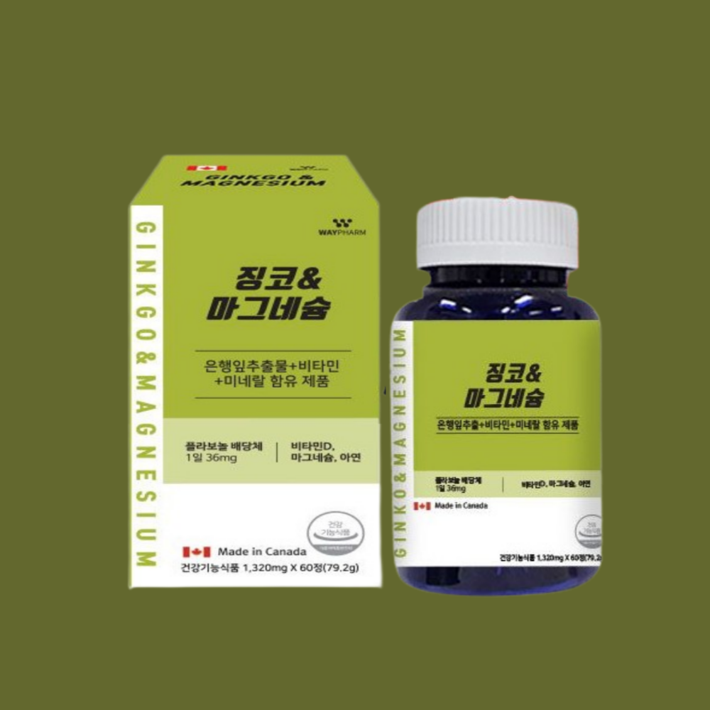 캐나다산 은행잎추출물 플라보놀 배당체 징코 비타민 <b>마그네슘</b> 60정 2개월분