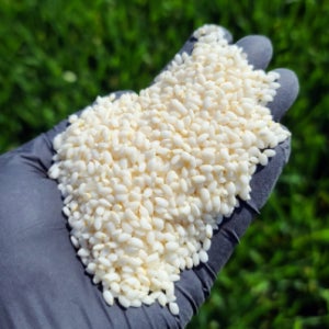 진도산 명품 누룽지 찹쌀 설향찰 유기농 찹쌀 찰현미 1kg