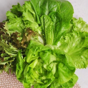 산지직송 충북괴산  유럽샐러드 채소1kg
