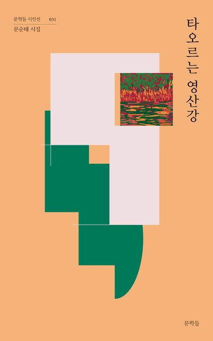 타오르는 영산강 (문순태 시집)