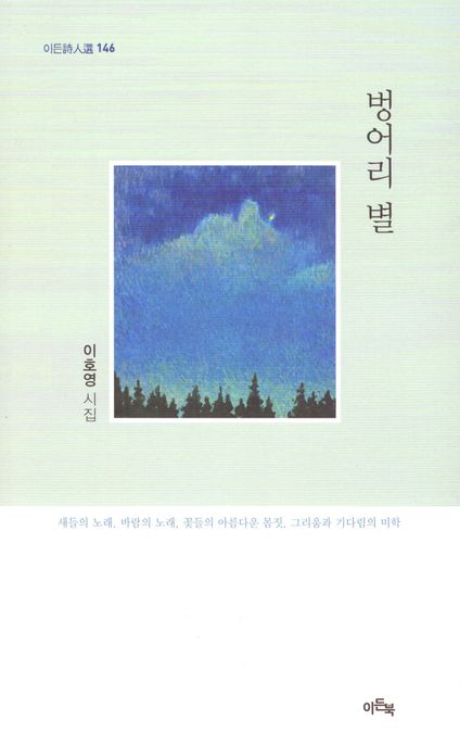 벙어리 별 : 이호영 시집