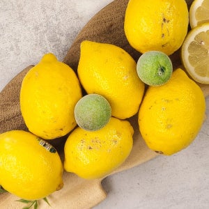 개성 있는 생김새를 가진 튼튼한 레몬 2kg