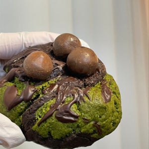 🍫초코나무숲쿠키🌳, 아리에티