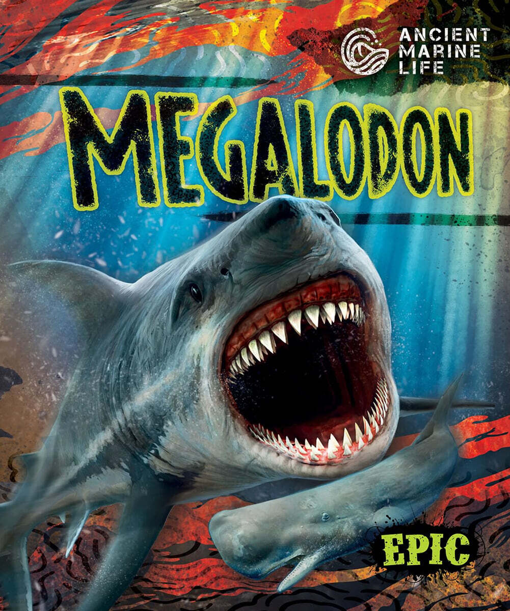 Megalodon