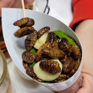 🥣 추억의 번데기 탕(4팩), 몽땅한 꼼장어