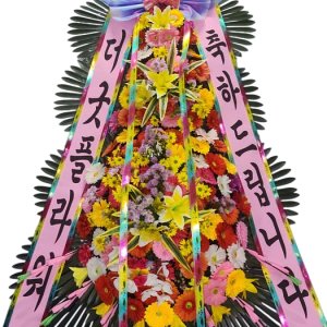 광주광역시 하우스오브드메르 축하화환 축하 3단 특대형화환- 꽃배달