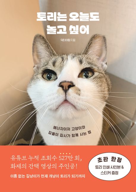 토리는 오늘도 놀고 싶어 에너자이저 고양이와 집돌이 집사가 함께 사는 법