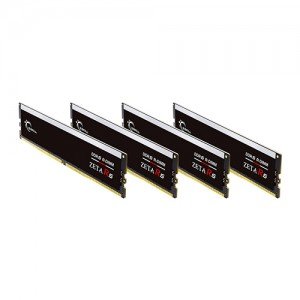 G.SKILL DDR5-6400 CL32 ZETA R5 ECC/REG 패키지 (128GB(32Gx4))