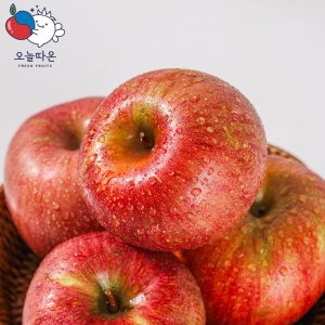 (현대홈쇼핑) [오늘따온]거창 알뜰 못난이사과(부사) 6kg / 16∼34과(과당 185g∼400g)