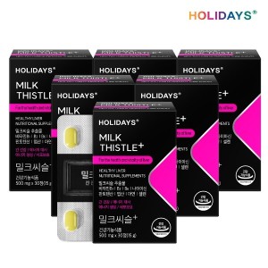 <b>홀리데이즈</b> <b>홀리데이즈</b> 비타민B군 강화 <b>실리마린</b> 밀크씨슬+ x 6박스 (총6개월분)