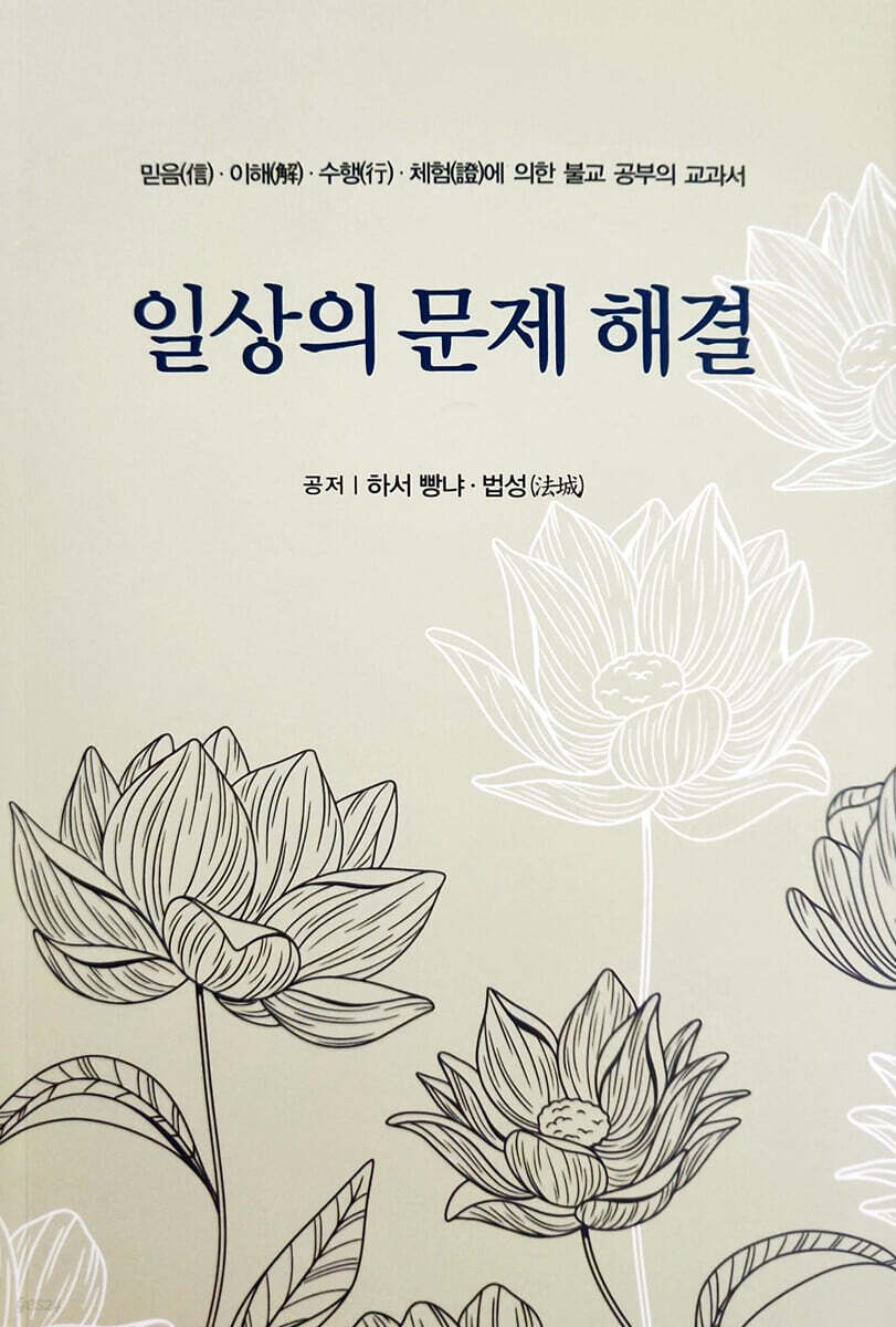 일상의 문제 해결 : 믿음(信)·이해(解)·수행(行)·체험(證)에 의한 불교 공부의 교과서 표지