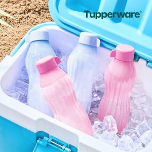 타파웨어 아이스 에코 물통 500ml TV상품