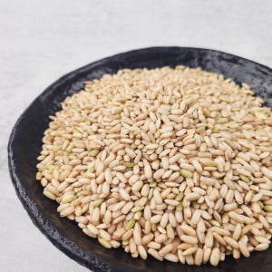 25년 수확 쫀득쫀득 찰기 가득 국산 현미 찹쌀1kg+1kg