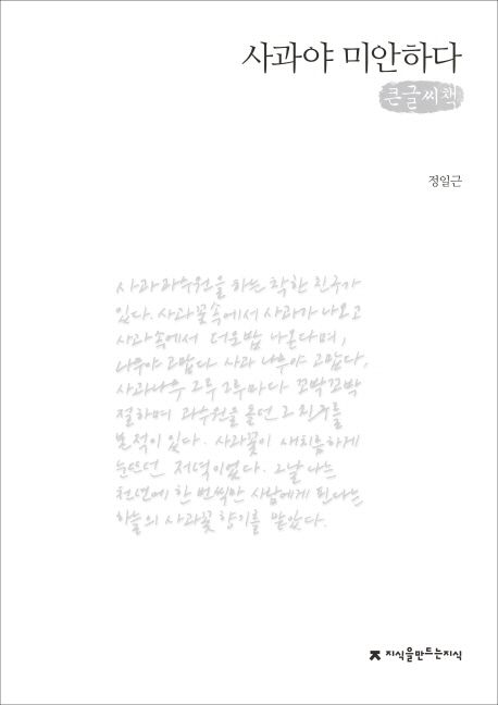 사과야 미안하다(큰글씨책)