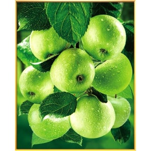 광고 메인 이미지