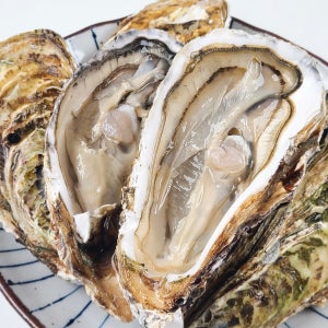 통영 고급 대왕 삼배체굴(개체굴) 2kg(4~5미 내외)