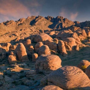 [몽골] 고비사막 THE자연 코스 5박6일