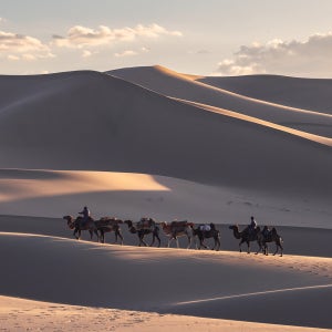 [몽골] 고비사막 시그니처 코스(5박6일)