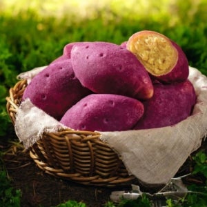 [무료 아이스박스],리얼 고구마빵  대두식품 구황작물빵 냉동생지 (90gX15개)