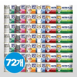 동원 뉴트리플랜 건강프로젝트 (6종 콤보)160g x 72개