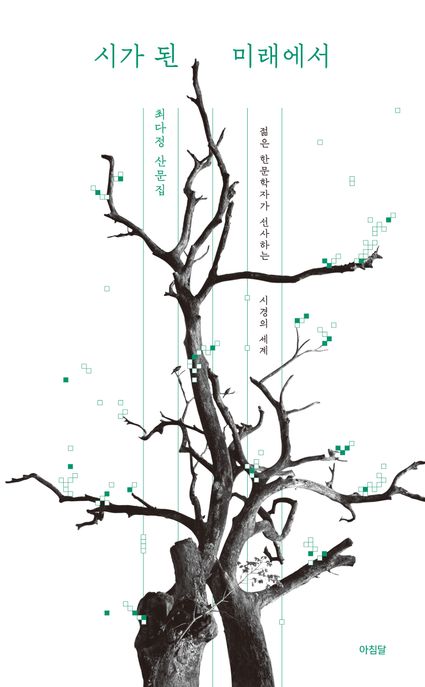 시가 된 미래에서 : 젊은 한문학자가 선사하는 시경의 세계 : 최다정 산문집 / 최다정 지음