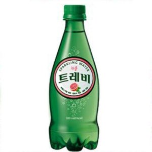트레비 자몽 500펫