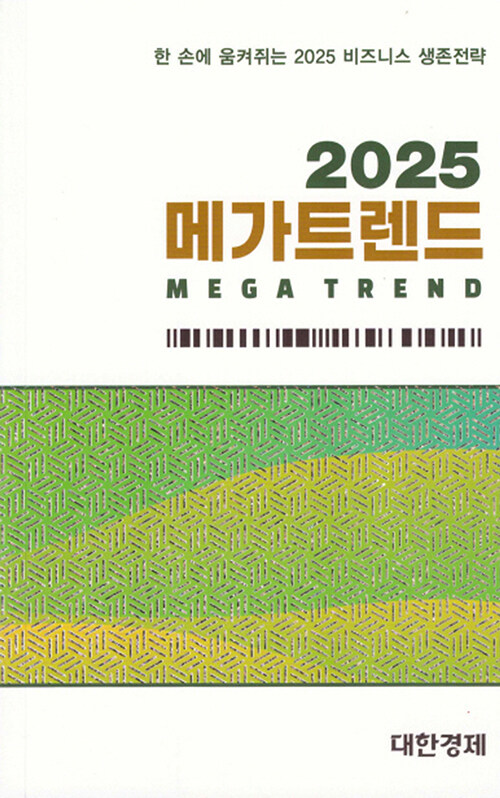 메가트렌드 2025 (한 손에 움켜쥐는 2025 비즈니스 생존전략)