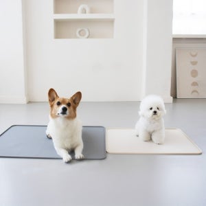 강아지 실리콘 배변판  논슬립 배변매트