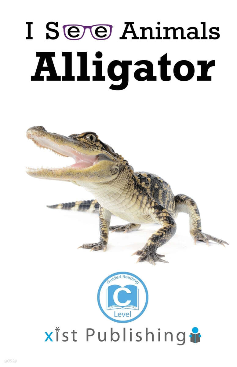 Alligator