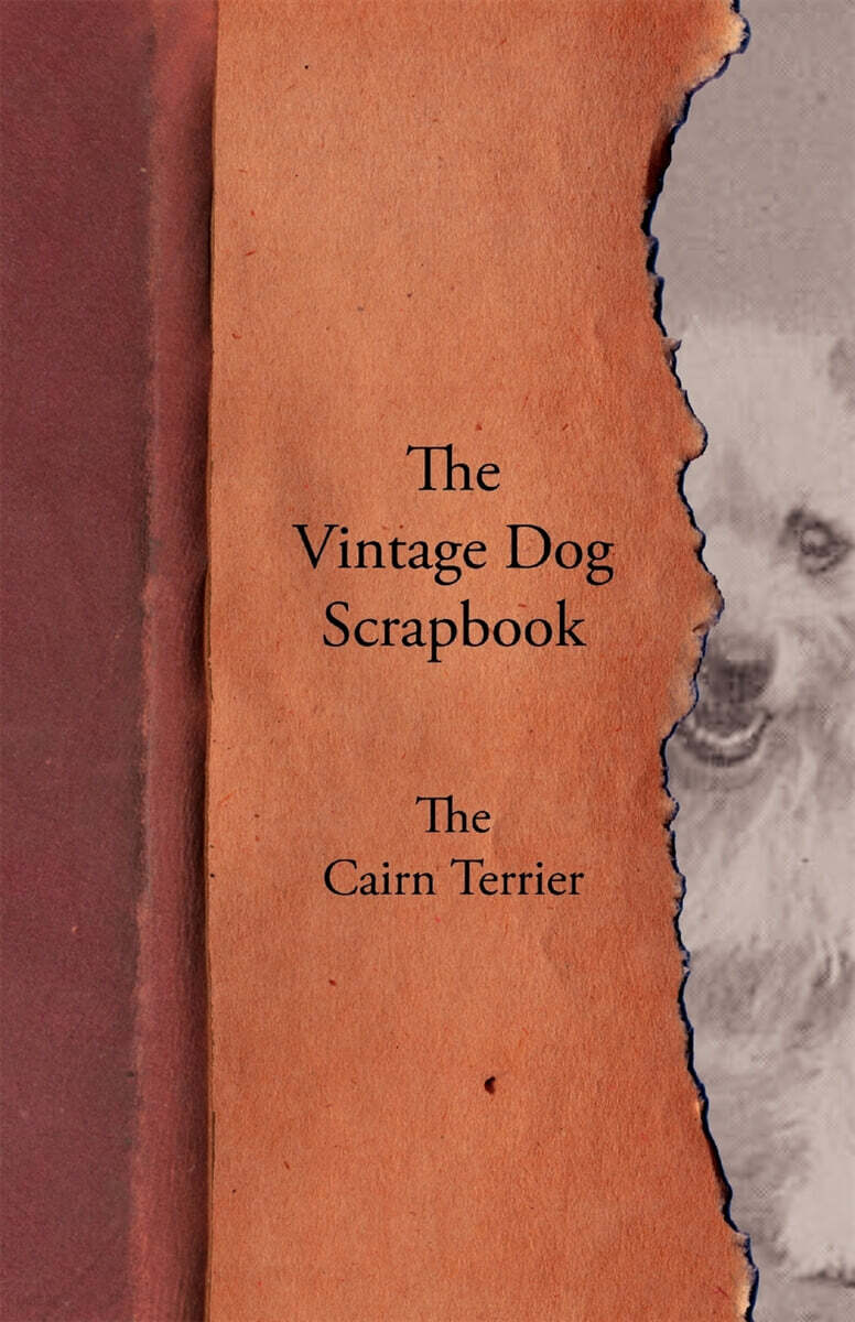 The Vintage Dog Scrapbook - The Cairn Terrier