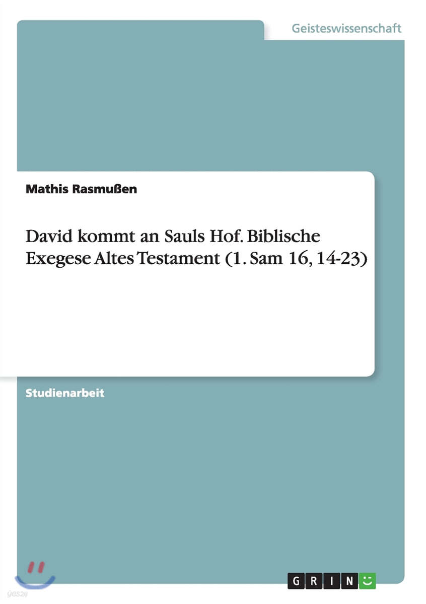9783656901914
