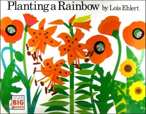 [빅북]Planting a rainbow 표지