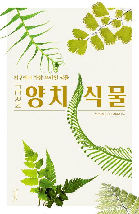 양치 식물 : 지구에서 가장 오래된 식물