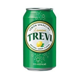 롯데칠성 트레비 탄산수 355ml 24캔 택1